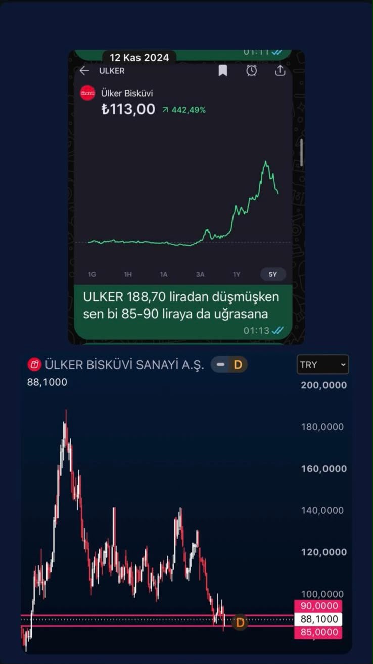 Ülker Bisküvi — Geçmiş paylaşım ve fiyat bölgeleri; 12 Kasım 2024